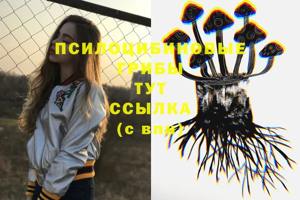 соль ск Горнозаводск