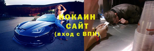 тгк Горняк