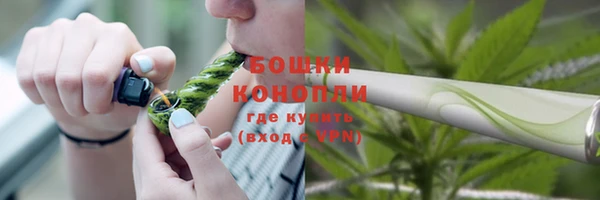 соль ск Горнозаводск