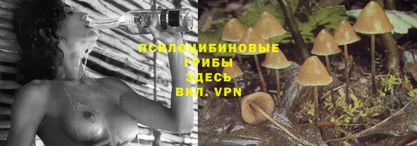 соль ск Горнозаводск