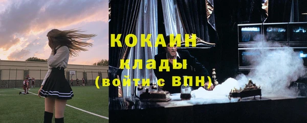 тгк Горняк
