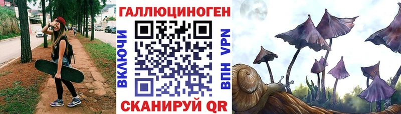 гидра маркетплейс  Курган  Галлюциногенные грибы Psilocybe 